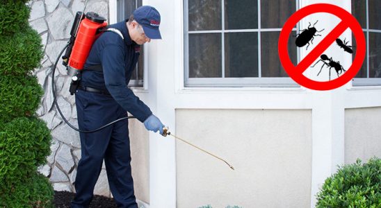 Beydağ Gümüşkurt İlaçlama böcek ilaçlama ve haşere kontrolü — ilaclama-tr.com